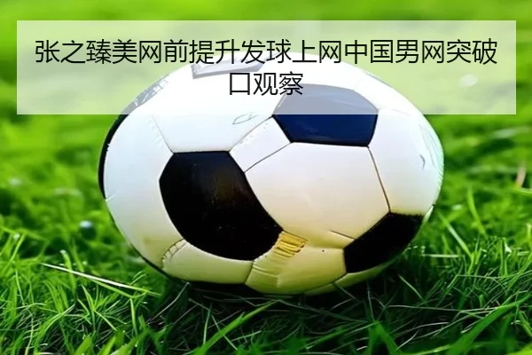 张之臻美网前提升发球上网中国男网突破口观察（JiuyouSports）